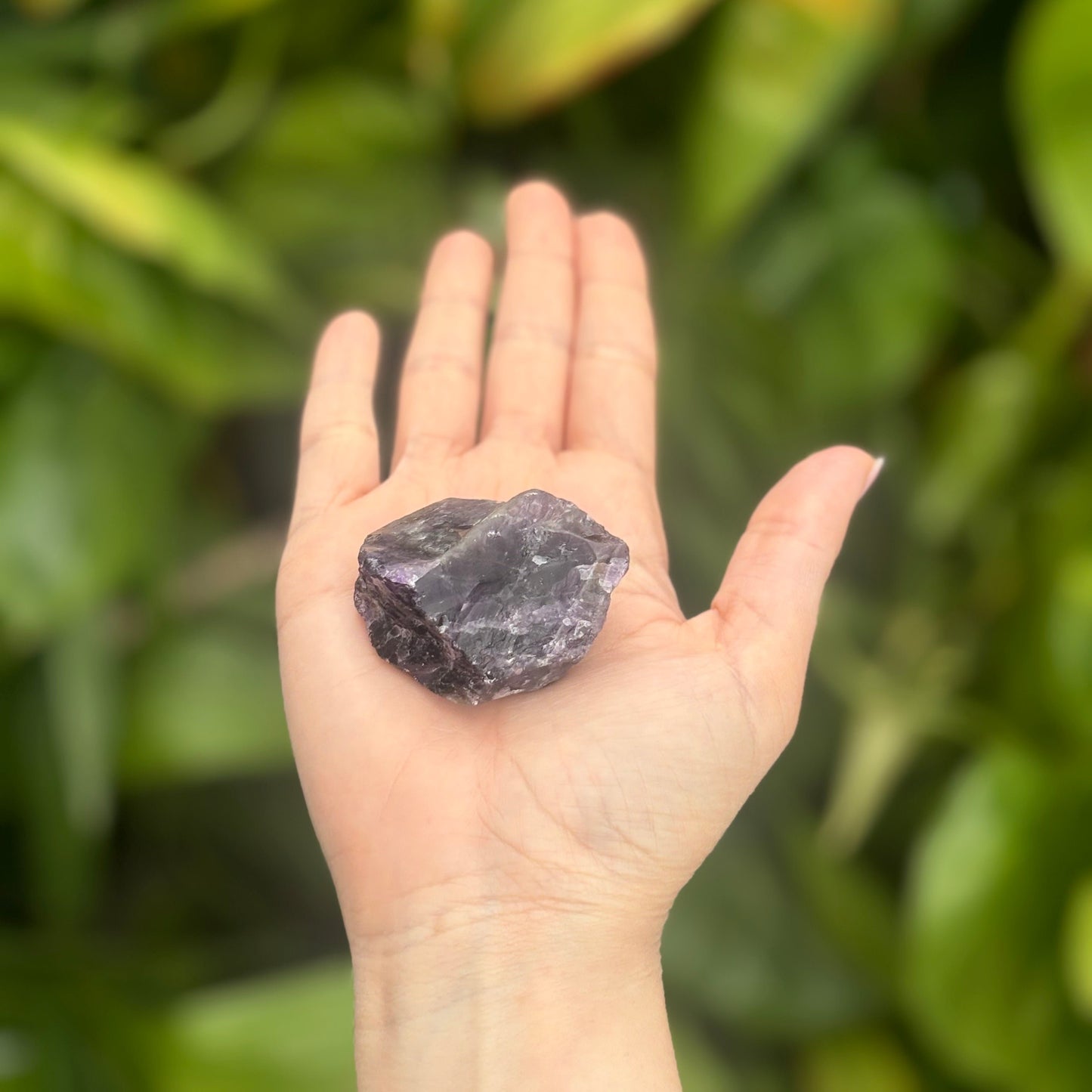 Amethyst Crystal (Rough)πβ¨